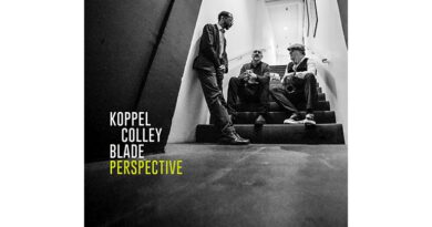 Das Koppel Colley Blade Collective mit Perspective